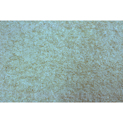 Alfombra blanca EDELWEISS image pub1