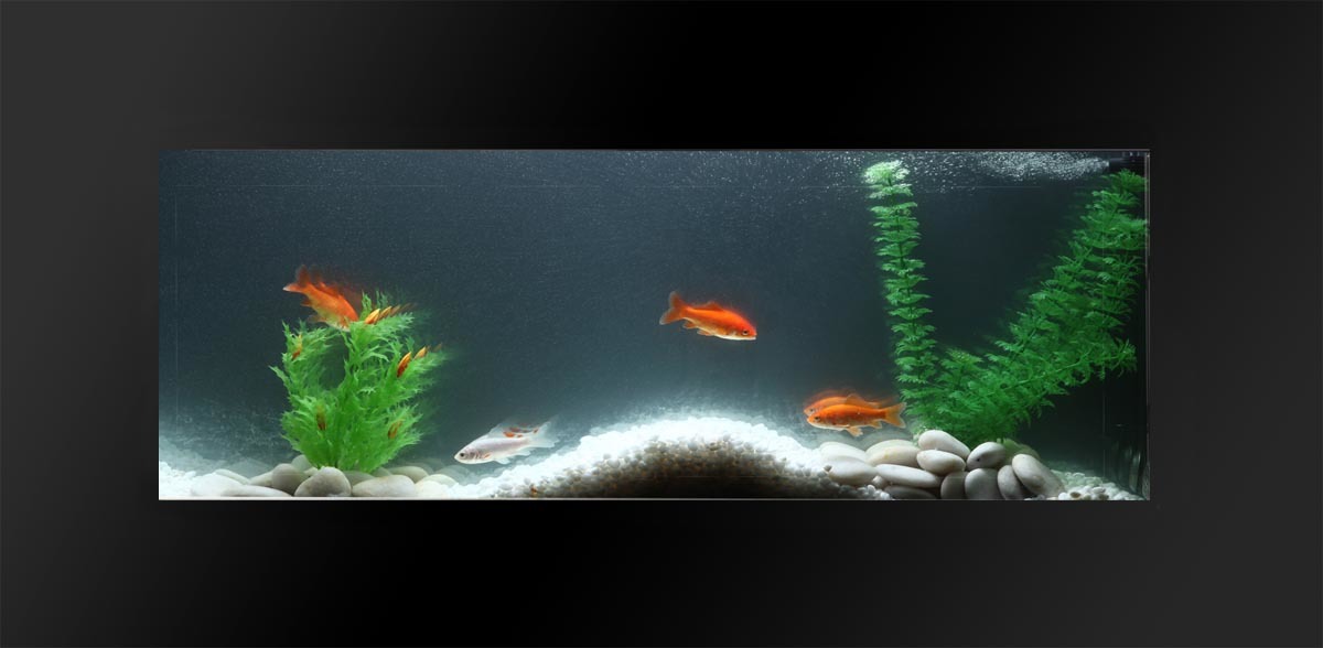 Notice montage cuisine keywest