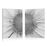 Conjunto de 2 cuadros de dise&ntilde;o DAISY image pub1
