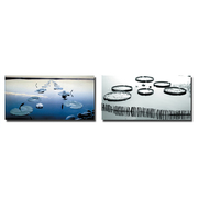 Conjunto de 2 cuadros de dise&ntilde;o WATERLILY image pub1