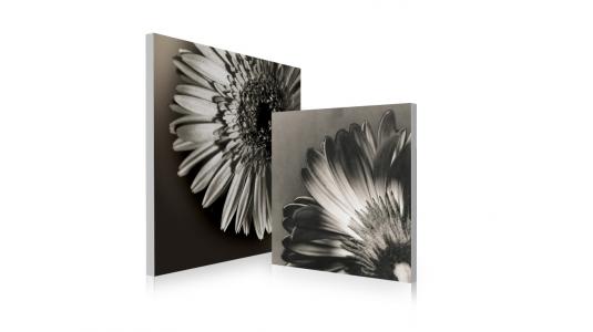 Ensemble de 2 tableaux design FLOWERS image 1