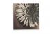 Ensemble de 2 tableaux design FLOWERS image 2