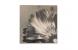 Ensemble de 2 tableaux design FLOWERS image 3