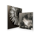  image pub1