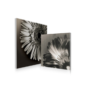 Ensemble de 2 tableaux design FLOWERS image pub1