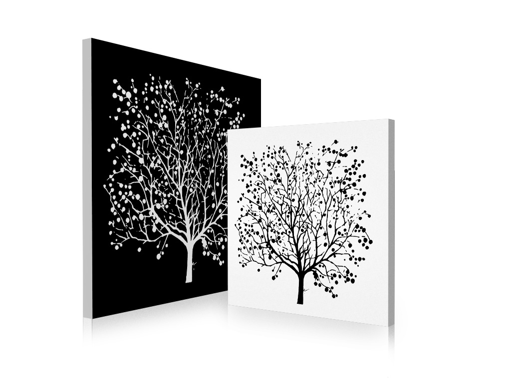 Ensemble de 2 tableaux design SPRING coloris noir et blanc image 1