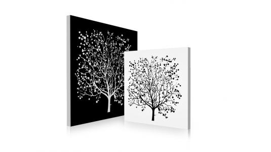 Ensemble de 2 tableaux design SPRING coloris noir et blanc image 1