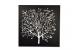 Ensemble de 2 tableaux design SPRING coloris noir et blanc image 3