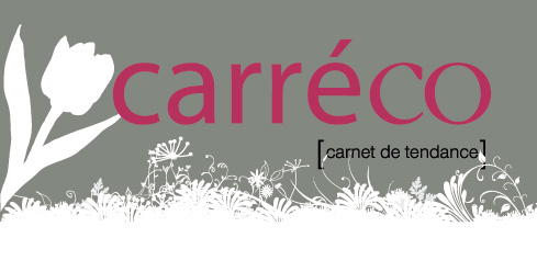 Blog d�co carreco