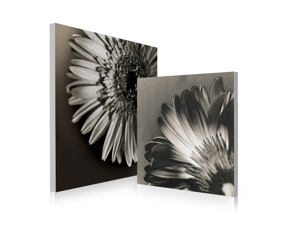 Tableau contemporain Flowers (lot de 2)