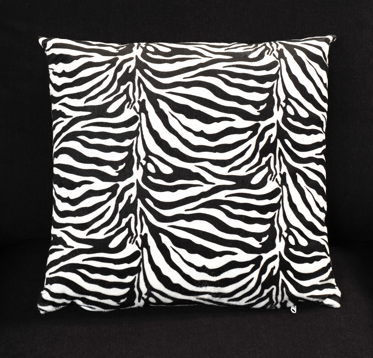 Lot de 2 coussins z&eacute;br&eacute; SAVANE 