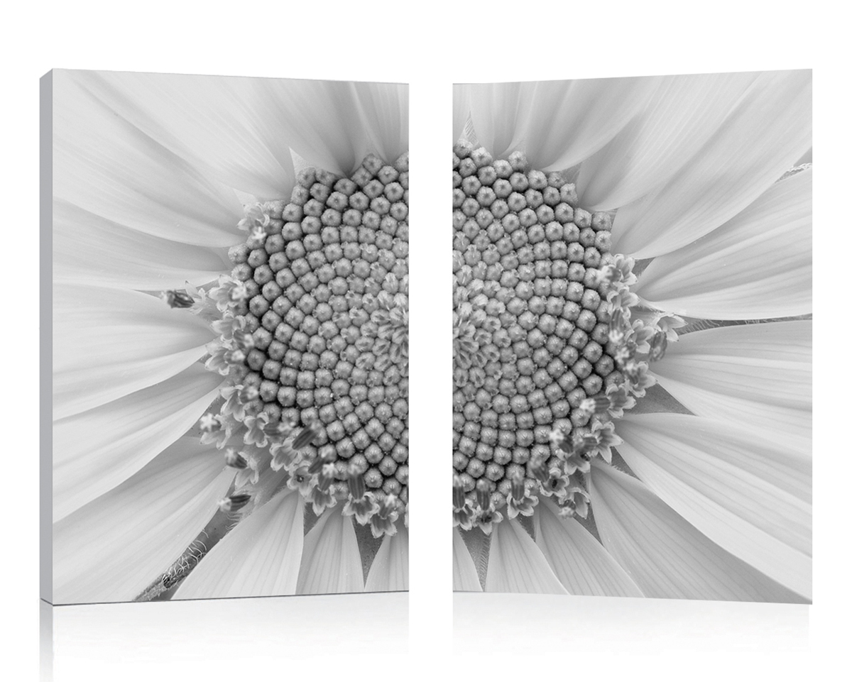Set de 2 Tableaux DAISY image 1