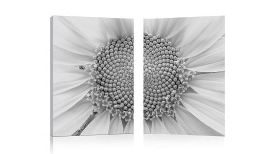Set de 2 Tableaux DAISY image 1