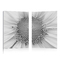 Set de 2 Tableaux DAISY image pub1