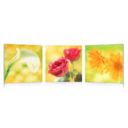 Set de 3 Tableaux design NEW FLOWERS image pub1