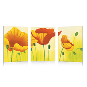Set de 3 Tableaux NEW POPPIES image pub1