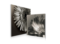 Tableau contemporain Flowers (lot de 2)
