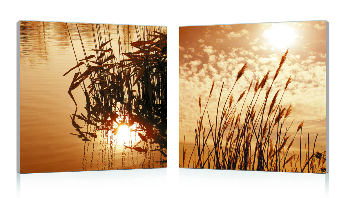 Tableau design SEPIA (lot de 2)
