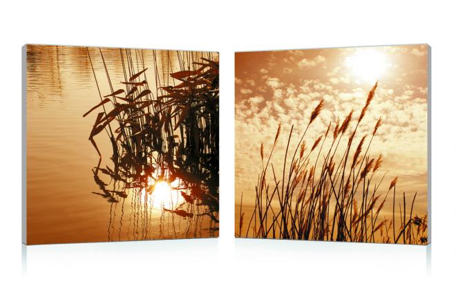 Tableau design SEPIA (lot de 2)