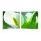 Tableau moderne Arum (lot de 2)
