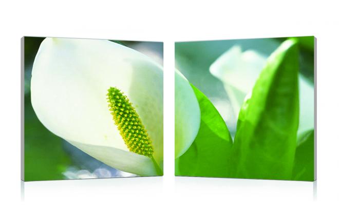 Tableau moderne Arum (lot de 2)