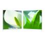 Tableau moderne Arum (lot de 2)