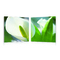 Tableau moderne Arum (lot de 2)