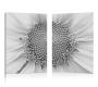 Tableau moderne Daisy (lot de 2)