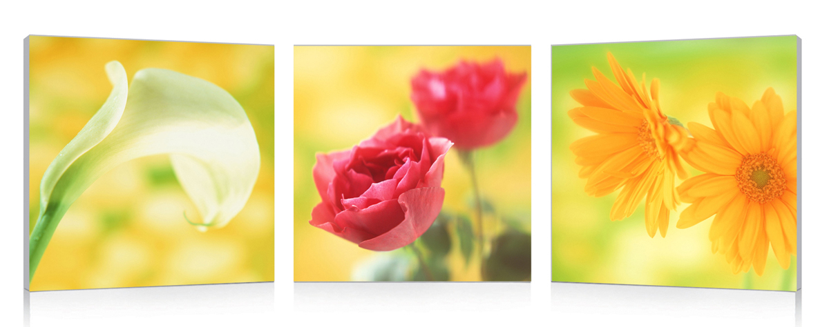 Tableau moderne New Flowers (lot de 3)