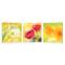 Tableau moderne New Flowers (lot de 3)