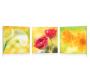 Tableau moderne New Flowers (lot de 3)