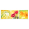 Tableau moderne New Flowers (lot de 3)