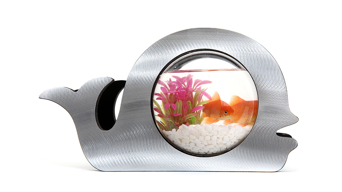 Photo du produit pour l'avis