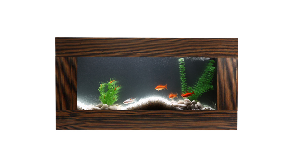 Photo du produit pour l'avis