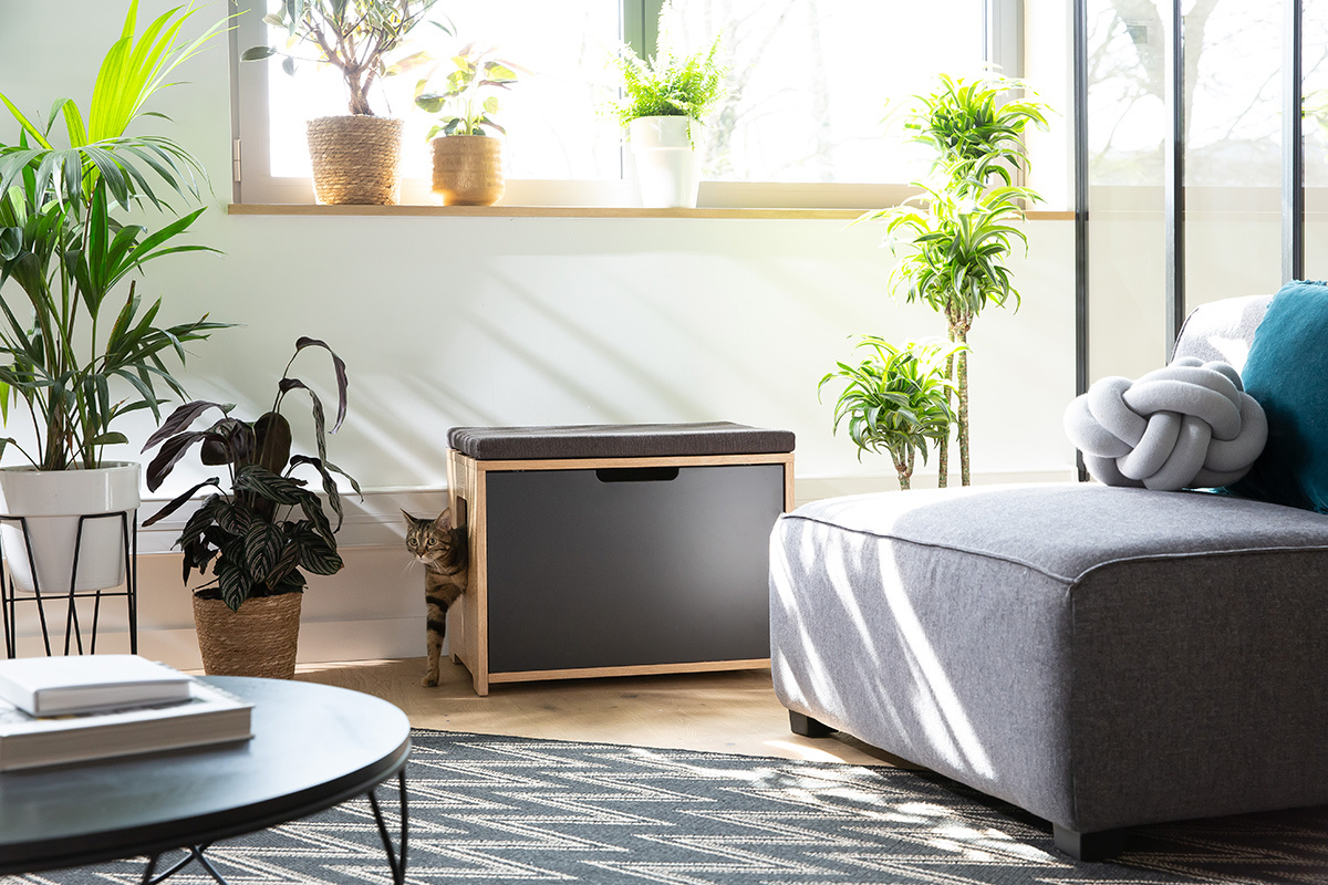 Banc liti�re design pour chat gris fonc� et bois L66 cm BERLIOZ