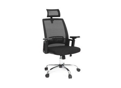 Fauteuil de bureau ergonomique design noir TITAN