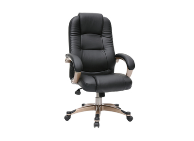 Fauteuil de bureau ergonomique noir TORONTO