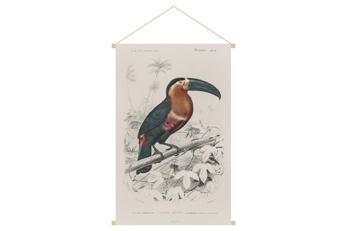 Kakemono tableau en toile suspendue oiseau exotique toucan L40 x H60 cm TOUCAN