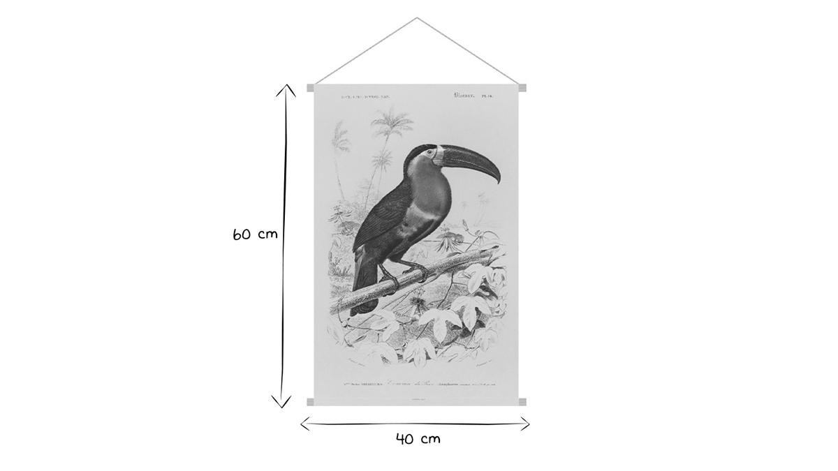 Kakemono tableau en toile suspendue oiseau exotique toucan L40 x H60 cm TOUCAN