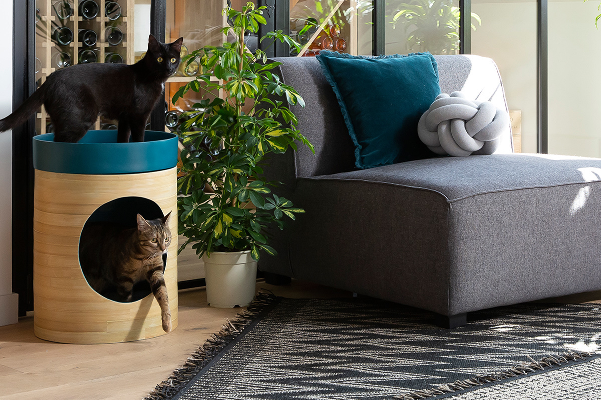 Niche design pour chat  et chien en bambou laqu�e blanche YUCCA