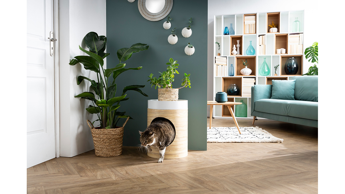 Niche design pour chat et chien en bambou laquée bleu canard YUCCA