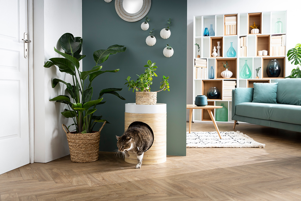 Niche design pour chat et petit chien en bambou naturel et laqu bleu canard L40 cm YUCCA