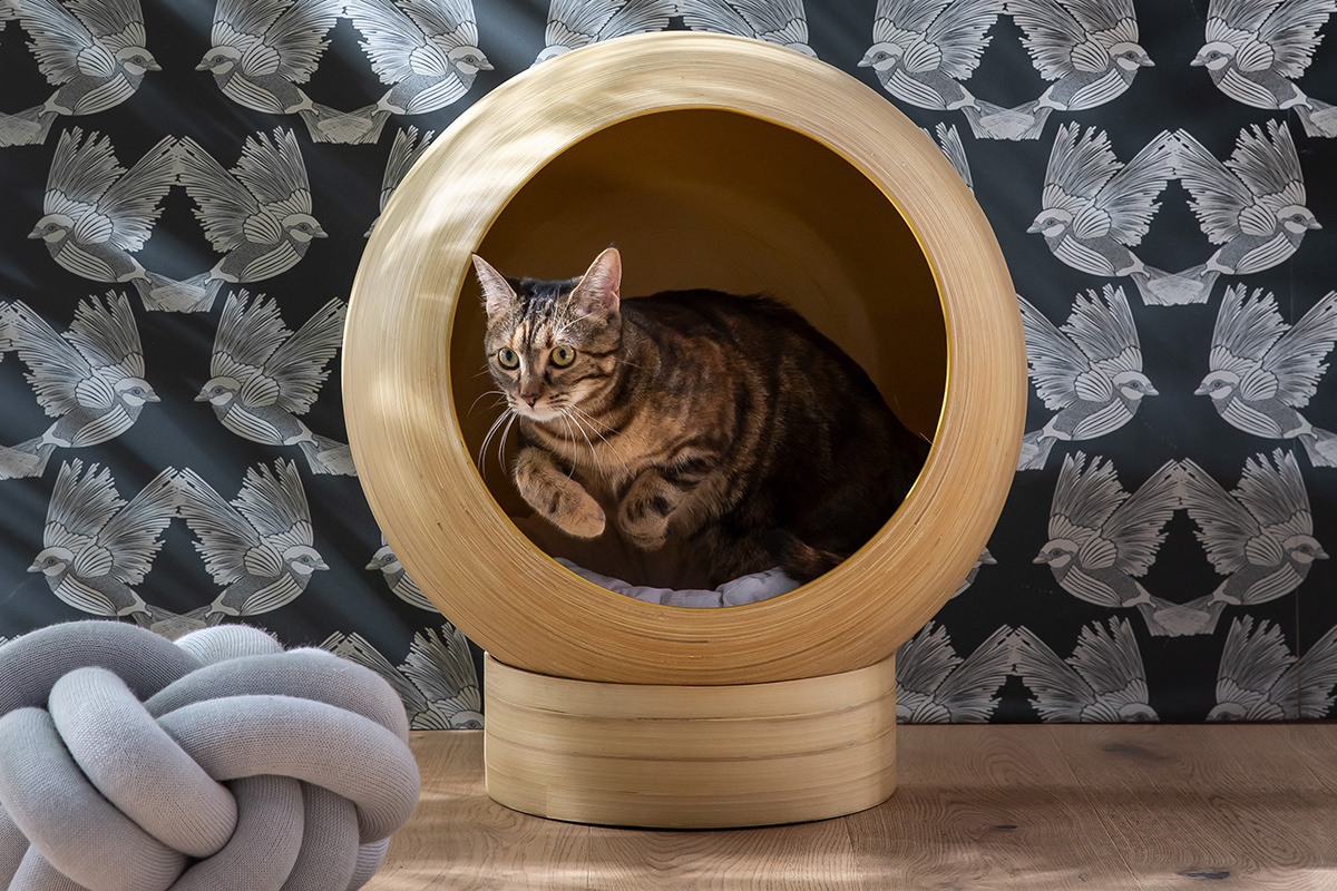 Niche pour chat et chien en bambou laqu�e bleu canard POPPINS