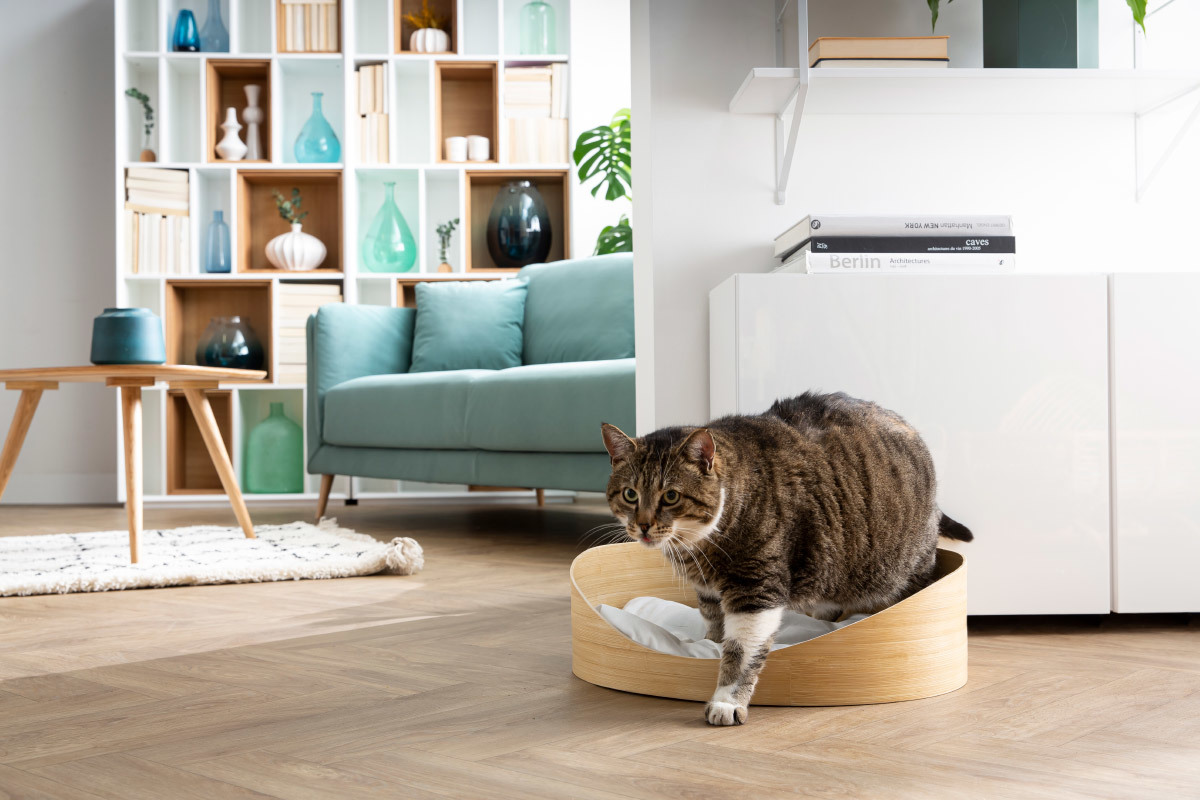 Panier design pour chat et petit chien en bambou avec coussin blanc L50 cm OBI