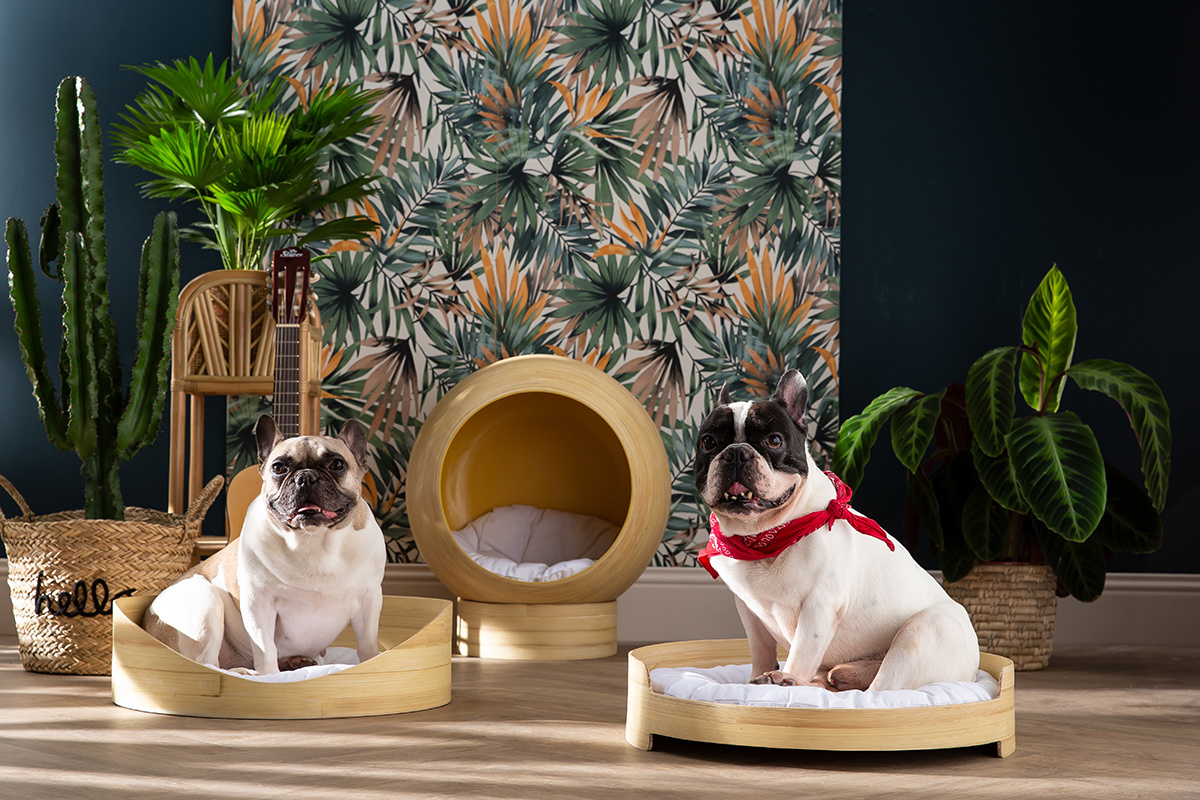 Panier lit design pour chat et petit chien en bambou naturel avec coussin blanc L50 cm GOA