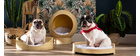 Panier pour chat et chien en bambou avec coussin blanc GOA