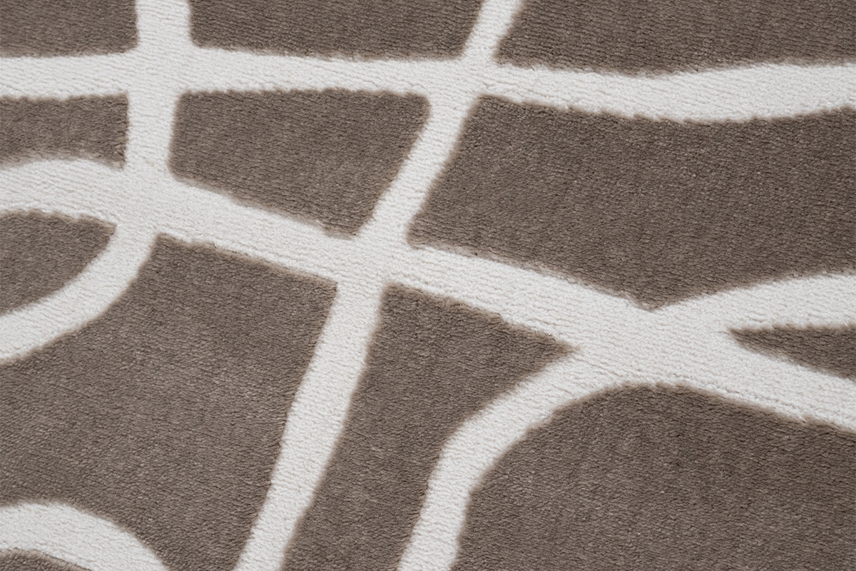Zoom matire tapis couleur taupe avec motifs line art, dimensions 160 x 230 cm, modle APOLLINE.